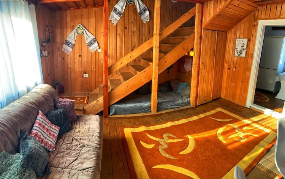 Casuta Mariei Villa Borsa  Ngoại thất bức ảnh