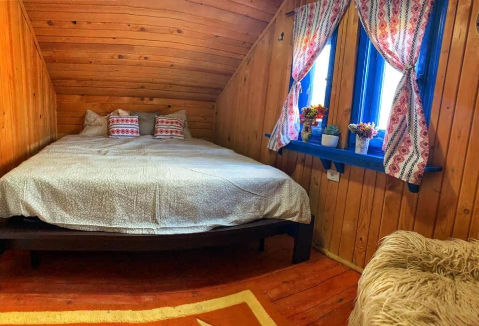 Casuta Mariei Villa Borsa  Ngoại thất bức ảnh