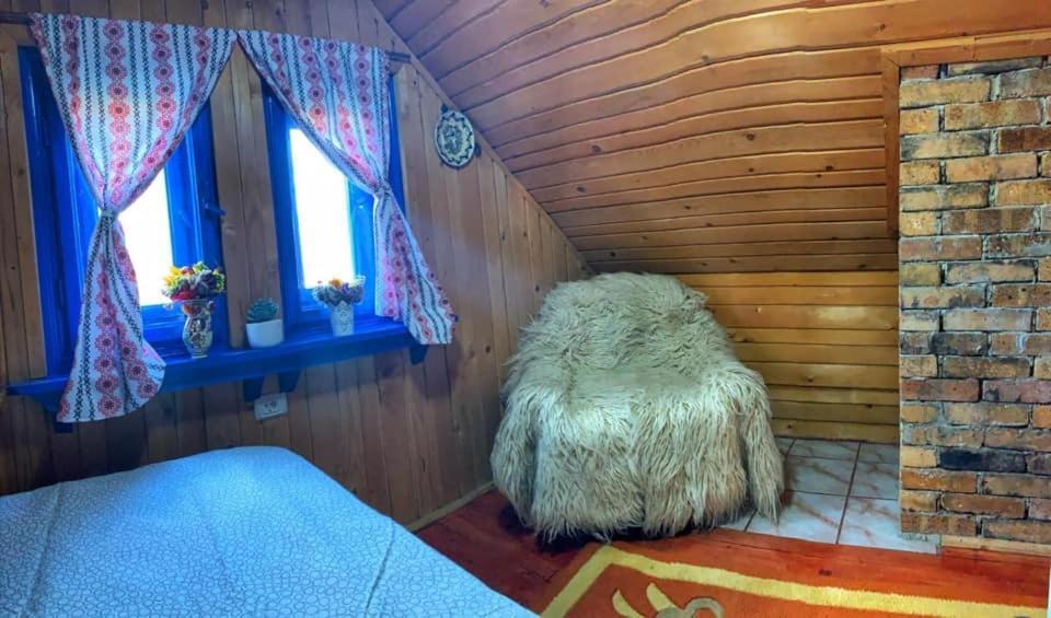 Casuta Mariei Villa Borsa  Ngoại thất bức ảnh